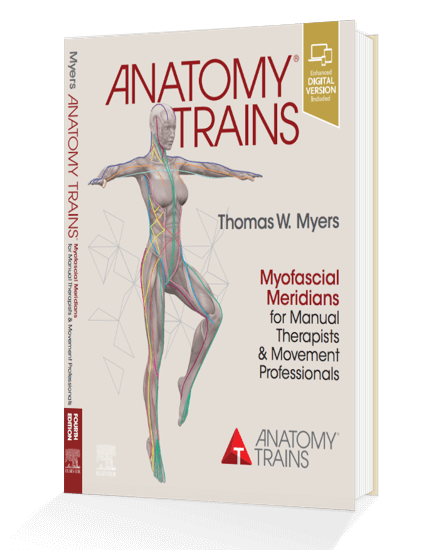 tom myers anatomy trains pdf free